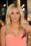 th_43189_celebrity_paradise.com_TheElder_AT75_122_337lo.jpg